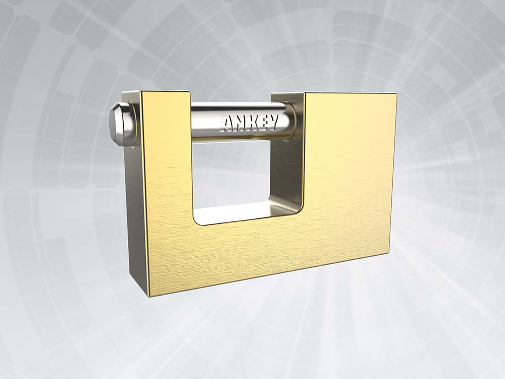 Insurance padlock