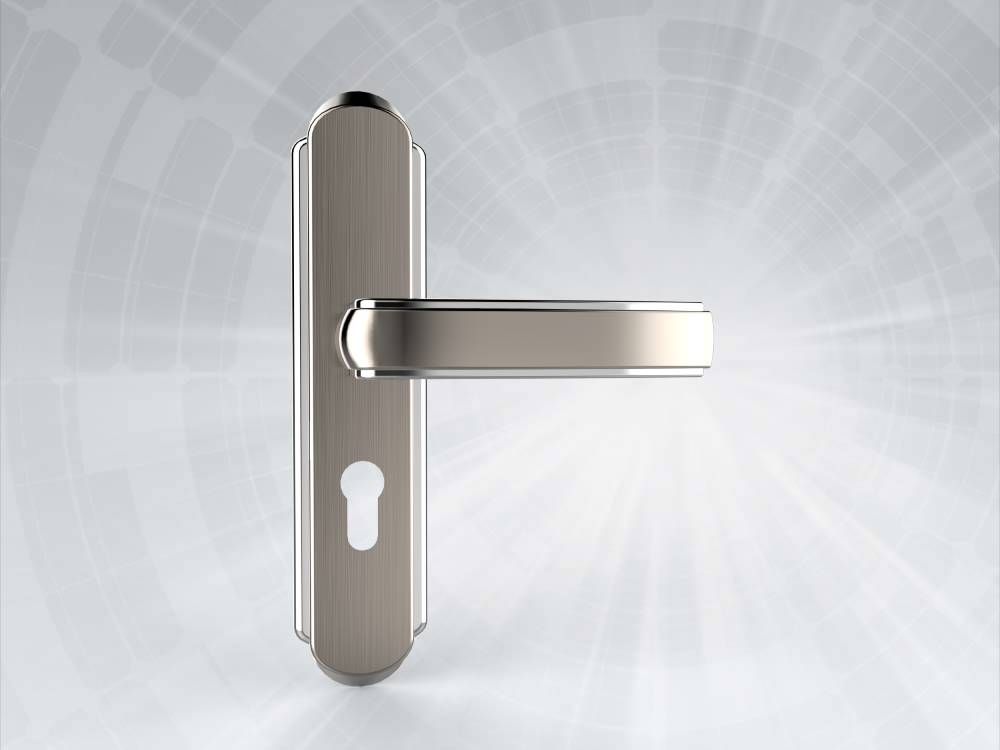 Stainless Steel Door Handle DH0037